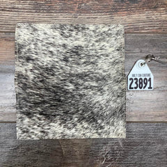 Checkbook Cover - #23891