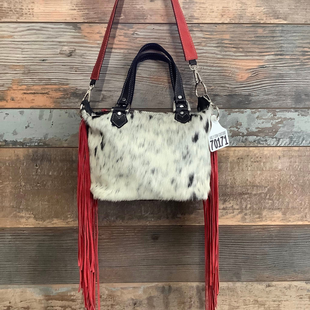 Mini Designer Hybrid #70171