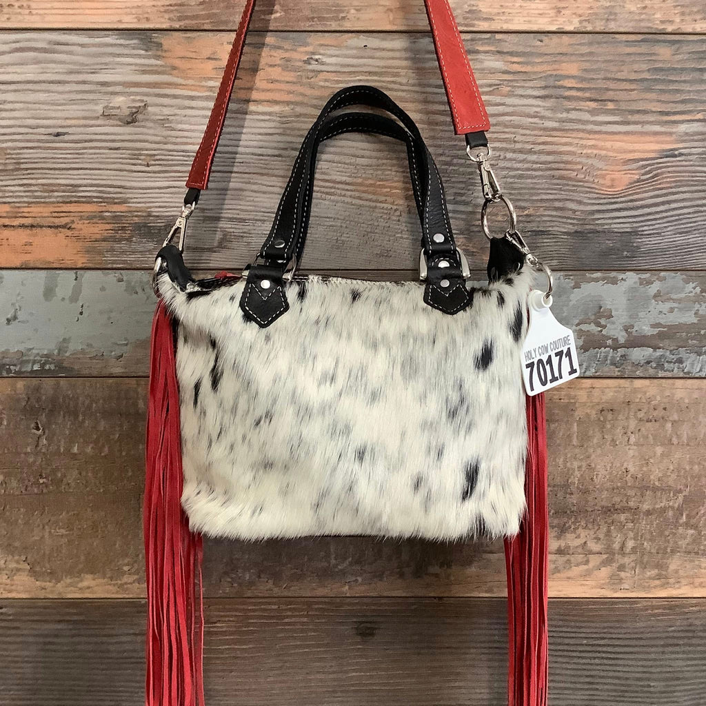 Mini Designer Hybrid #70171