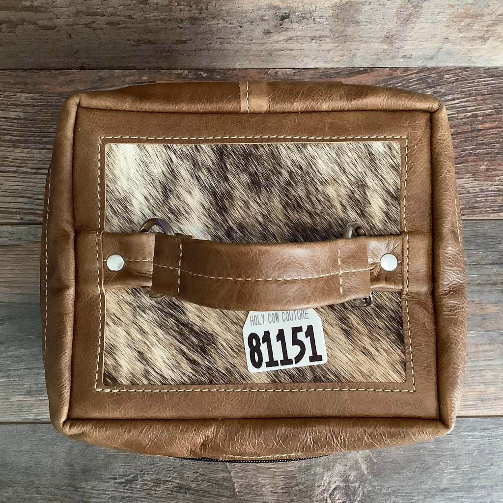 Train Case #81151