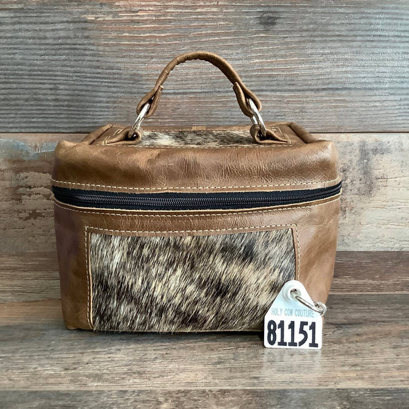 Train Case #81151