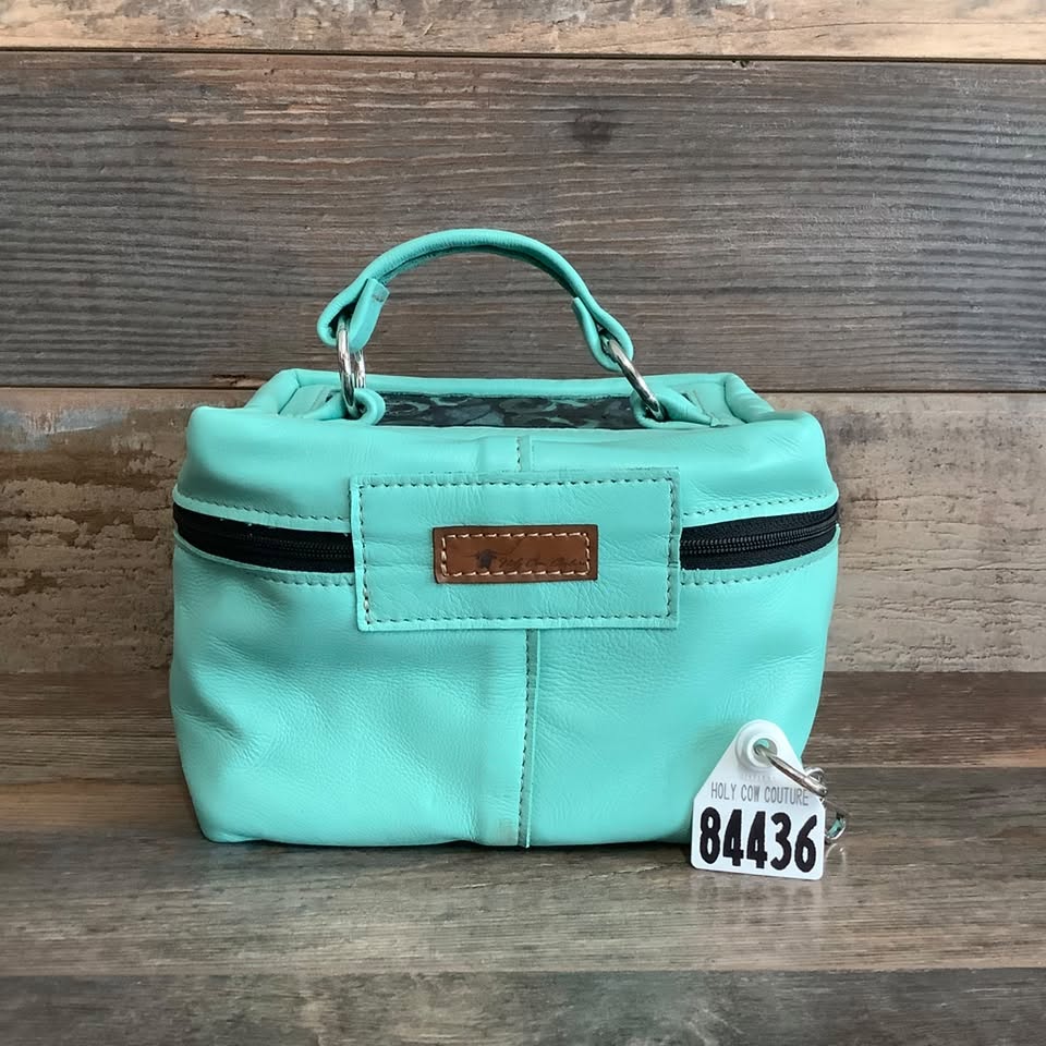 Train Case #84436