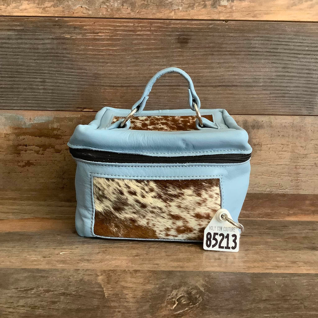 Train Case #85213