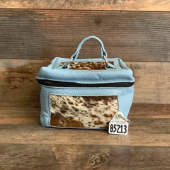 Train Case #85213