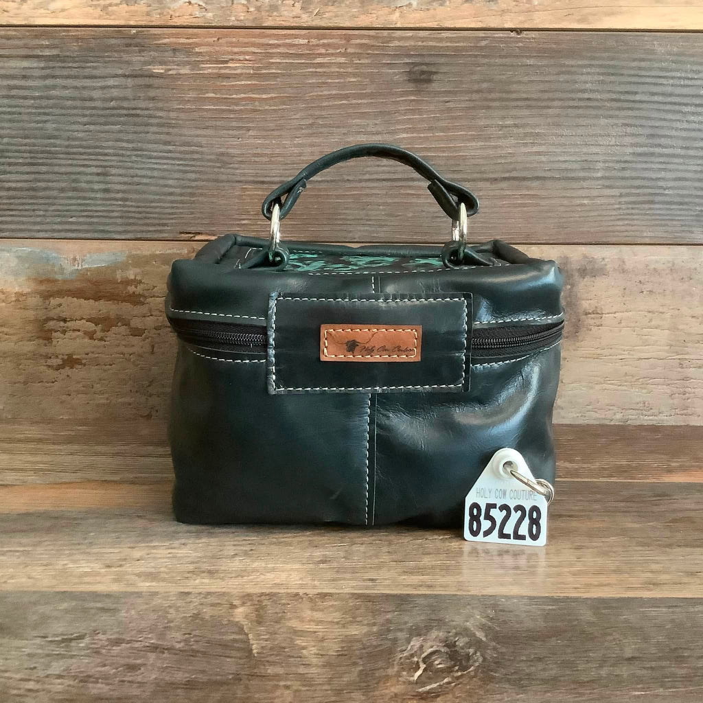 Train Case #85228