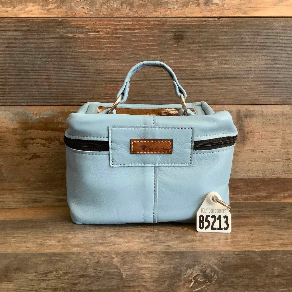 Train Case #85213