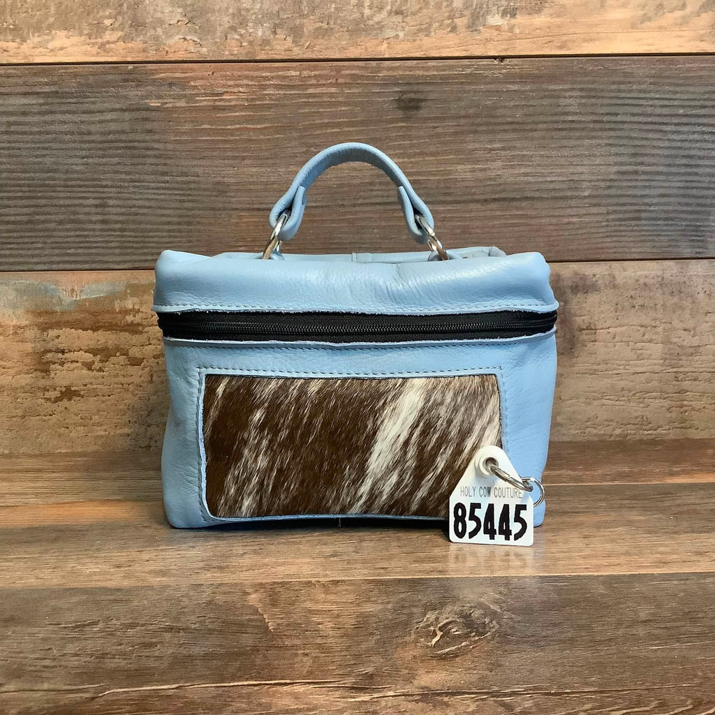Train Case #85445