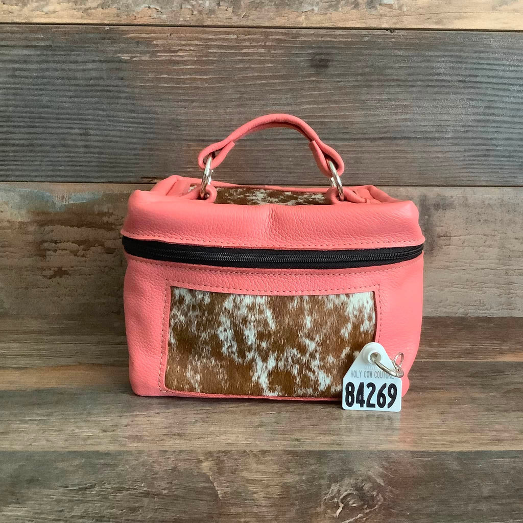 Train Case #84269