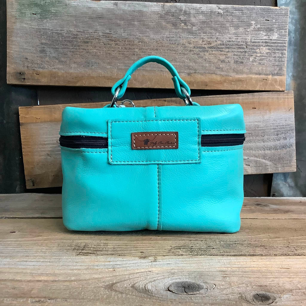 Train Case #85589
