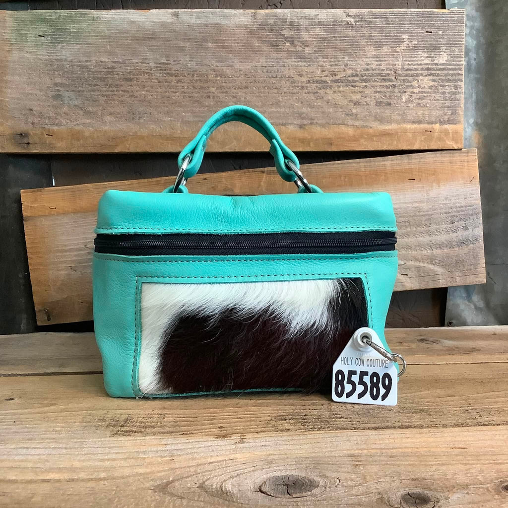 Train Case #85589