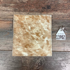 Checkbook Cover - #13902