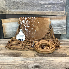 Exclusive Collection The Pony Express #565
