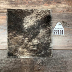 Checkbook Cover - #22181
