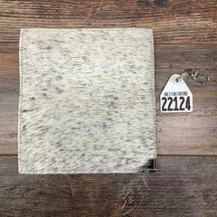 Checkbook Cover - #22124